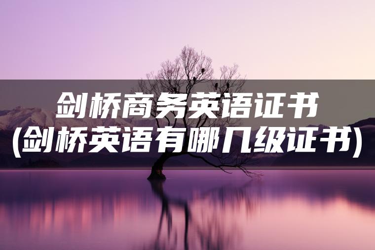 剑桥商务英语证书(剑桥英语有哪几级证书)