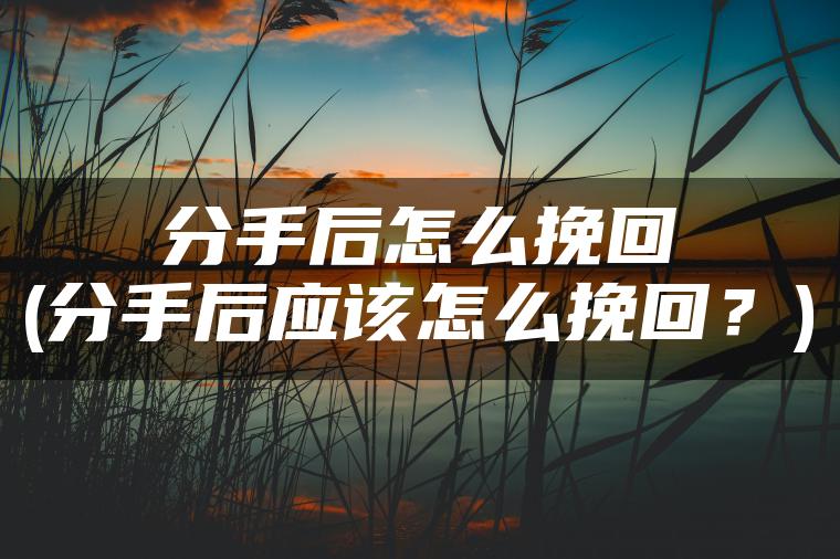 分手后怎么挽回(分手后应该怎么挽回？)