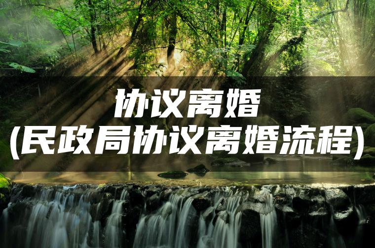 协议离婚(民政局协议离婚流程)