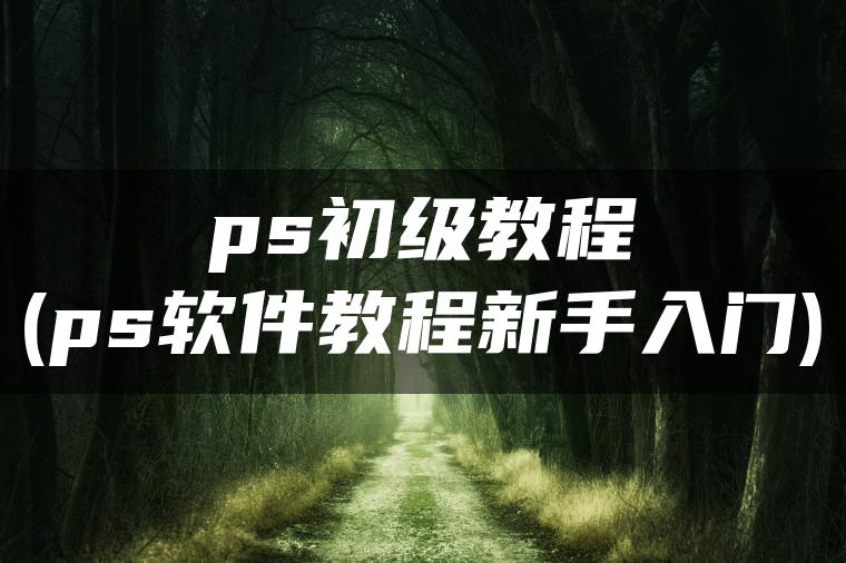 ps初级教程(ps软件教程新手入门)