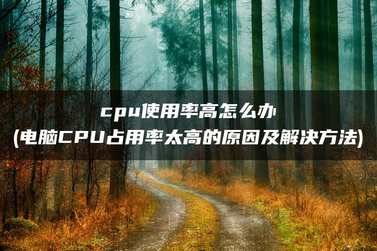 cpu使用率高怎么办(电脑CPU占用率太高的原因及解决方法)