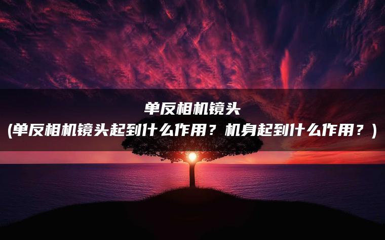 单反相机镜头(单反相机镜头起到什么作用？机身起到什么作用？)