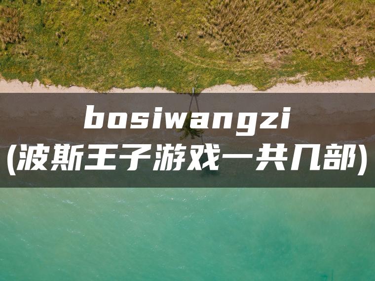 bosiwangzi(波斯王子游戏一共几部)