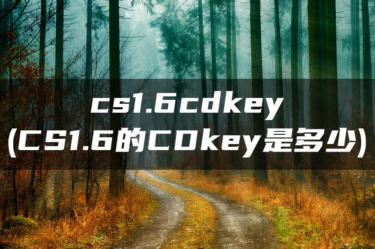 cs1.6cdkey(CS1.6的CDkey是多少)