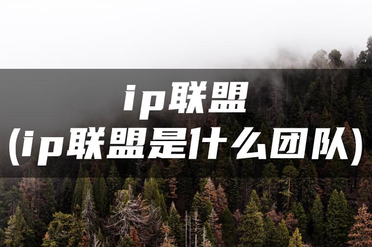 ip联盟(ip联盟是什么团队)