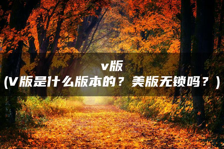 v版(V版是什么版本的？美版无锁吗？)