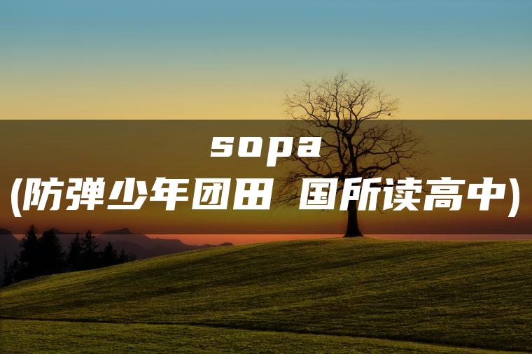 sopa(防弹少年团田柾国所读高中)