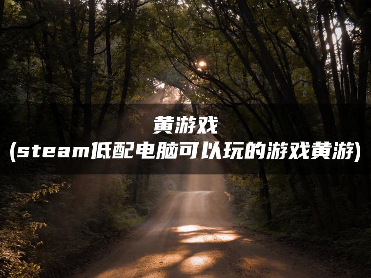 黄游戏(steam低配电脑可以玩的游戏黄游)