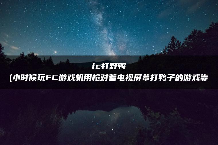 fc打野鸭(小时候玩FC游戏机用枪对着电视屏幕打鸭子的游戏靠