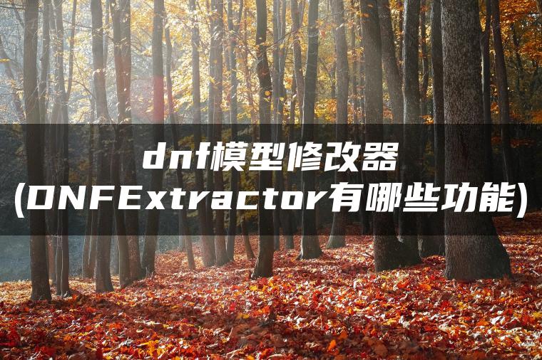 dnf模型修改器(DNFExtractor有哪些功能)