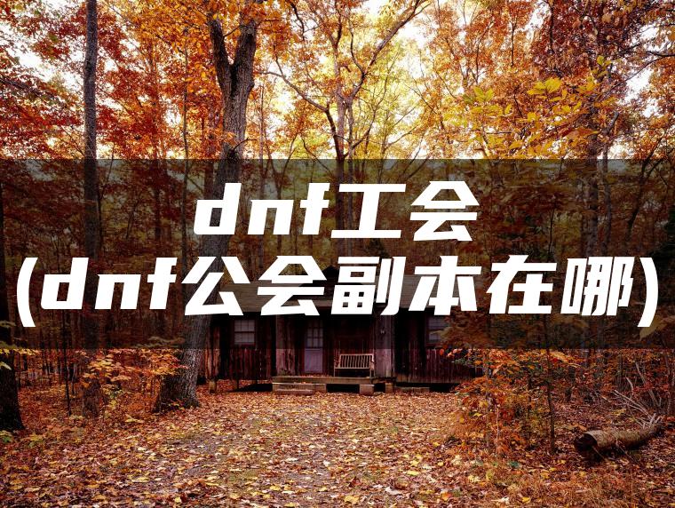 dnf工会(dnf公会副本在哪)