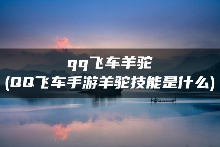 qq飞车羊驼(QQ飞车手游羊驼技能是什么)