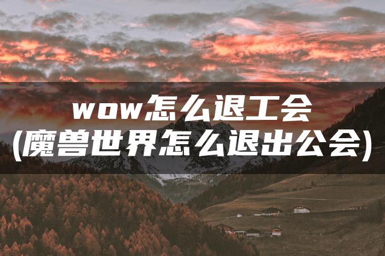 wow怎么退工会(魔兽世界怎么退出公会)