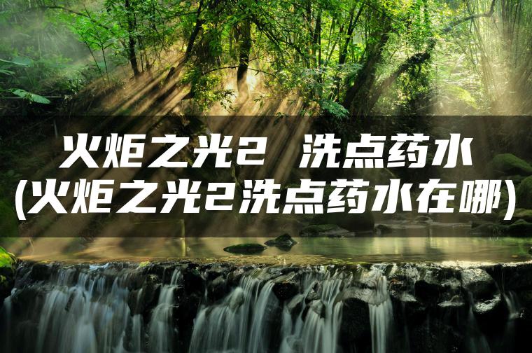 火炬之光2 洗点药水(火炬之光2洗点药水在哪)