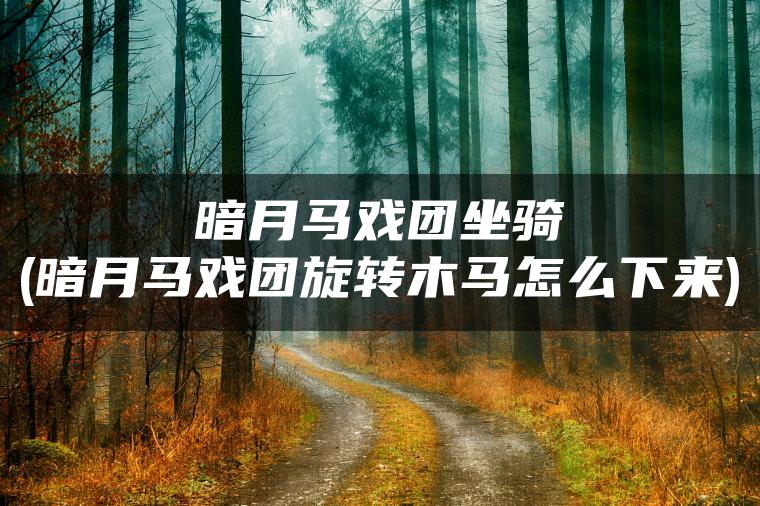 暗月马戏团坐骑(暗月马戏团旋转木马怎么下来)