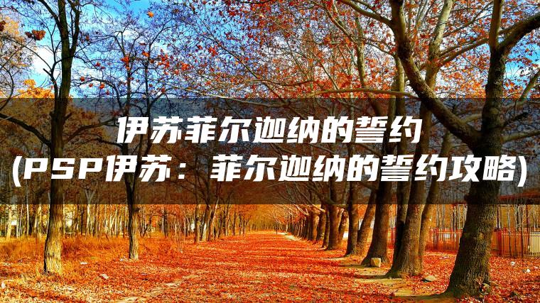 伊苏菲尔迦纳的誓约(PSP伊苏：菲尔迦纳的誓约攻略)