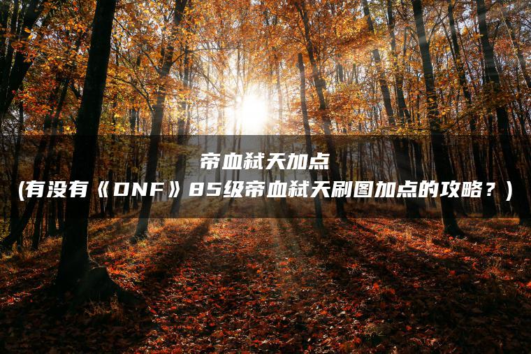 帝血弑天加点(有没有《DNF》85级帝血弑天刷图加点的攻略？)